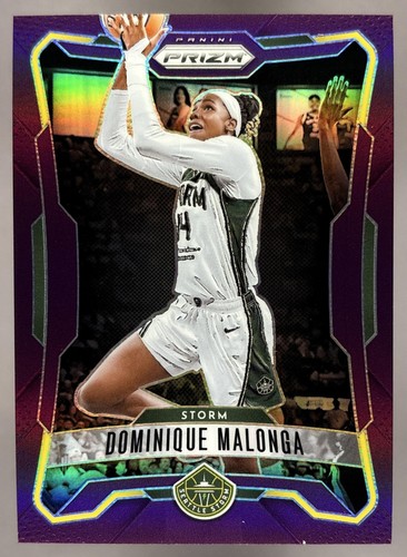 Dominique malonga 2026 panini - dominique,