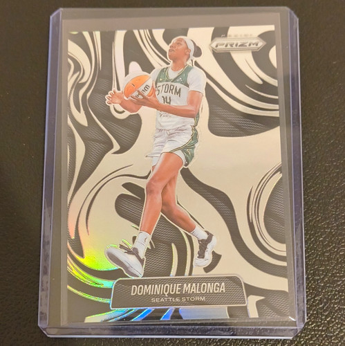 2026 panini prizm wnba - prizm, basket