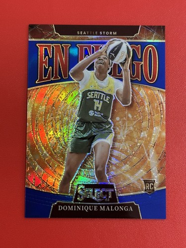 2025 panini select wnba - panini,
