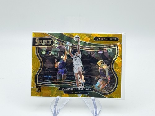 2025 select wnba - -, istantanee