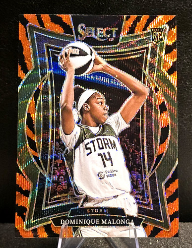 2025 select wnba dominique - select,